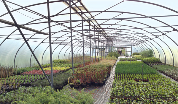 NetDespatch and Zenstores weed out inefficiencies for Martin’s Nursery