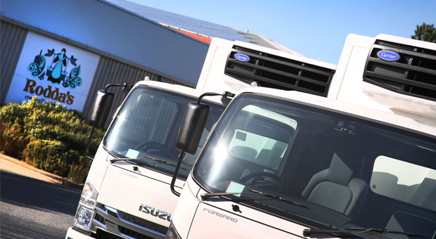 Carrier Transicold Xarios™ 500 units cream of the crop for Rodda’s