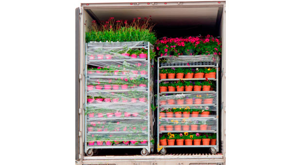 The prettier way to protect the environment