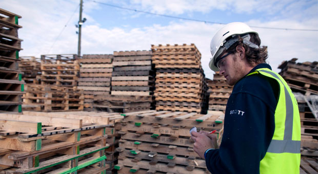 Green Pallet Scheme is sustainability leader