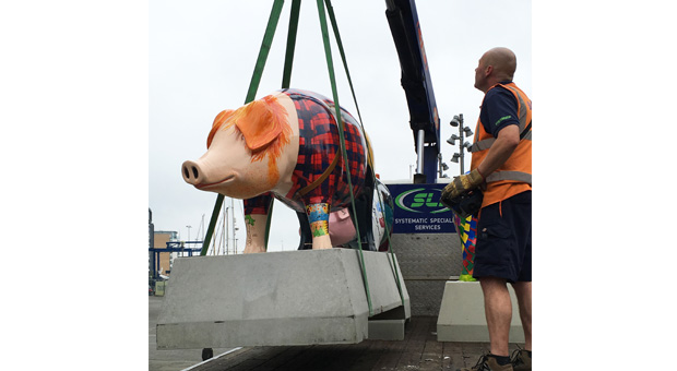 Logistics firm SLi proves pigs can fly