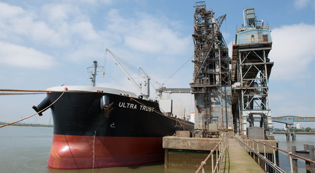 Port of Tilbury and Frontier Agriculture mark successful first year