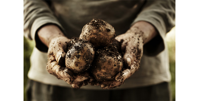 Fresh approach for vegetable processing company thanks to CDEnviro