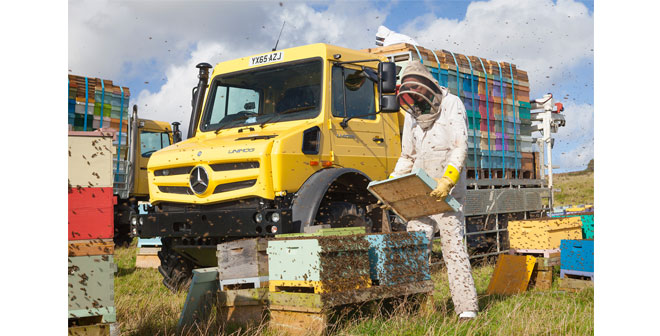 Mercedes-Benz Unimog is the ‘bee’s knees’