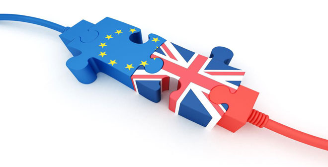 Brexit proofing your business A Brexit Survivors Guide Webinar for exporters