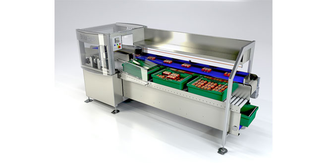 Brillopak puts packhouses in control of efficiency