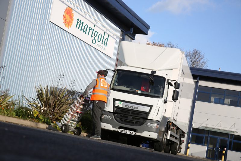 Carrier Transicold Marigold