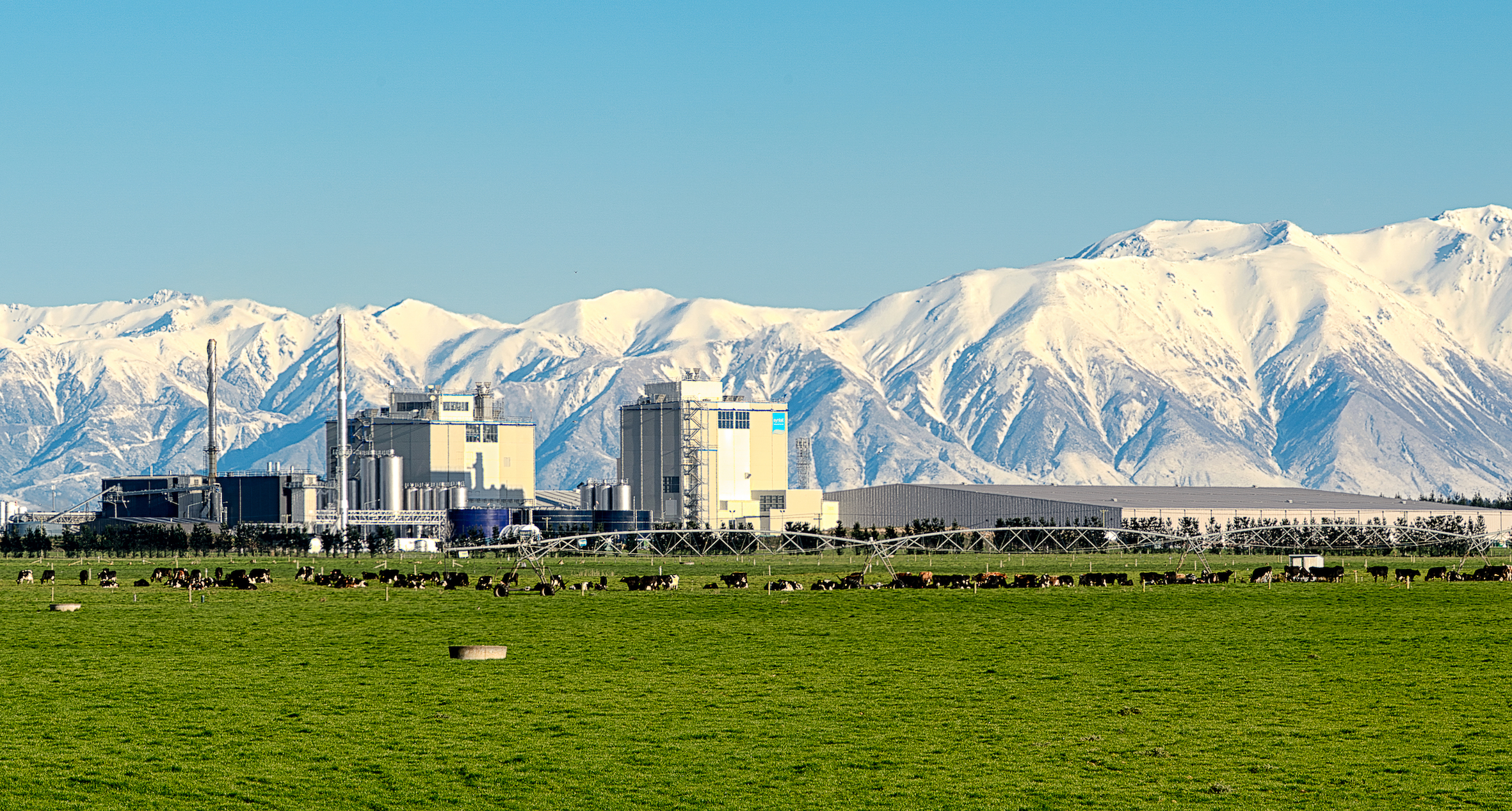 Cimcorp to provide automated order picking system for Synlait new liquid milk production facility