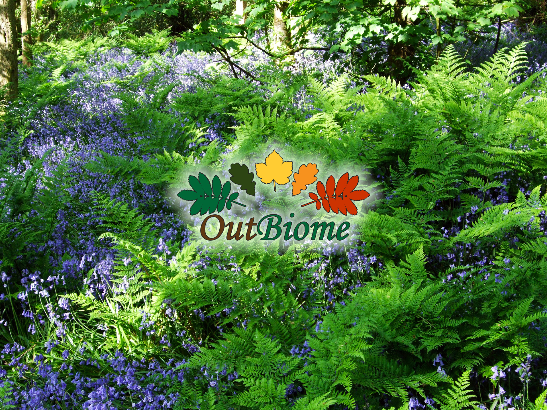 OutBiome landscape photography
