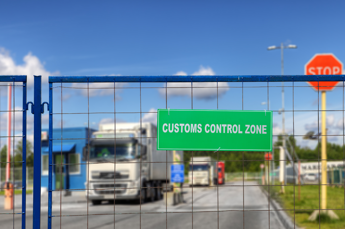 Customs expert British firms must consider Transitional Simplified Procedures for Brexit