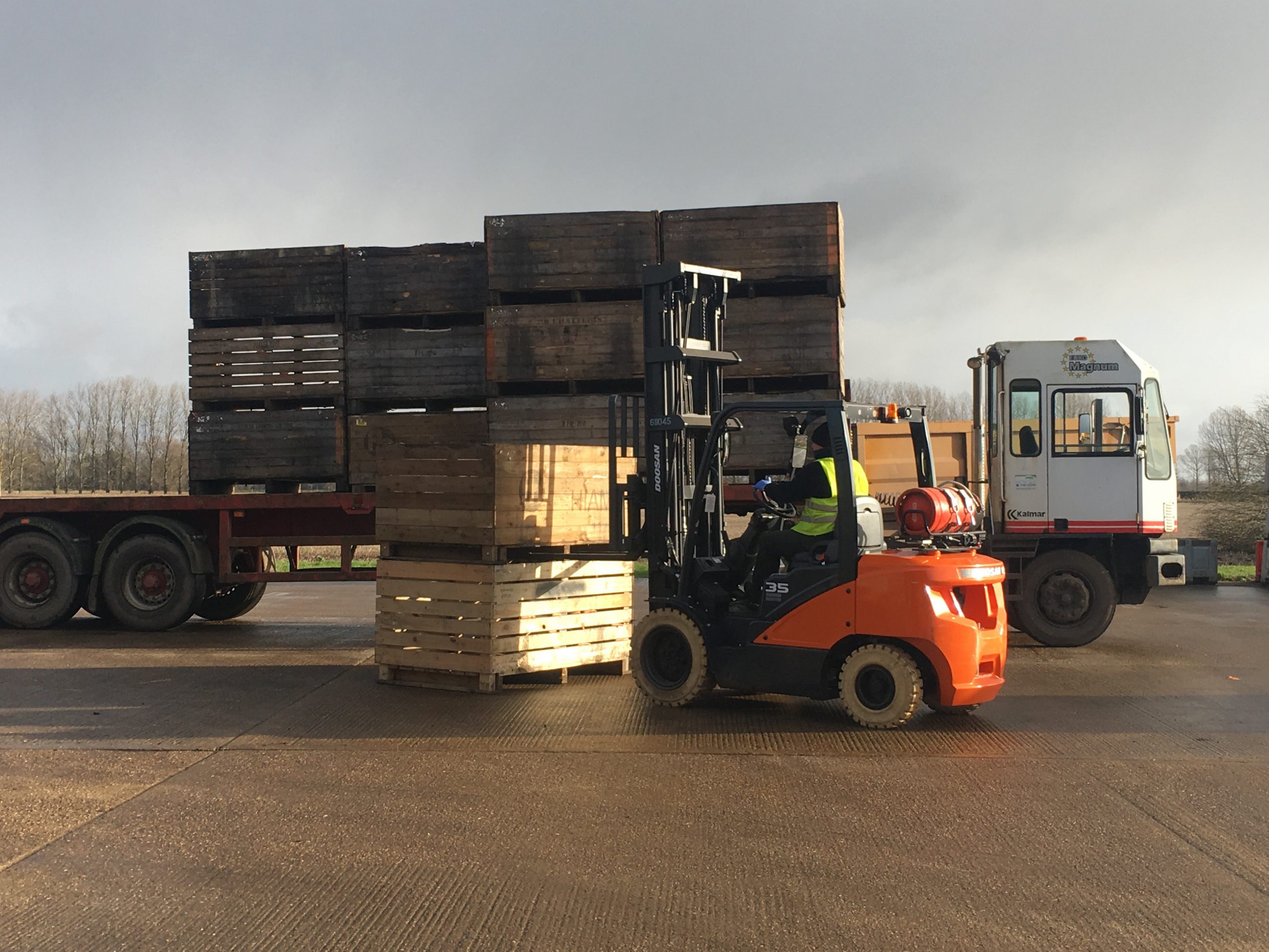 Doosan makes the grade at Tompsett Burgess Growers