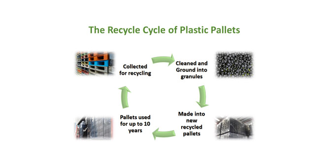 Exporta Team Up with Recycling Specialist to Offer a Free Plastic Recycling Scheme