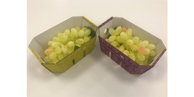 Smurfit Kappa sees surge of interest in sustainable packaging solutions for fresh produce