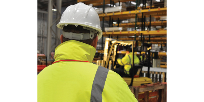 Mentor FLT Training report to reveal industry safety shortcomings