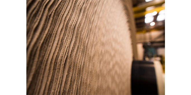 Smurfit Kappa unveiled as founding member of new industry alliance