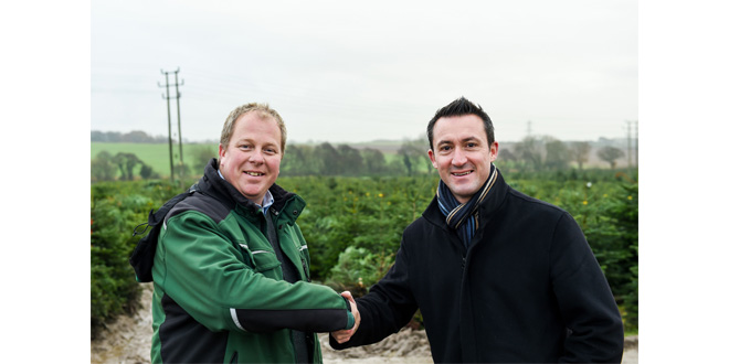 Pall-Ex is top of the tree for Christmas delivery