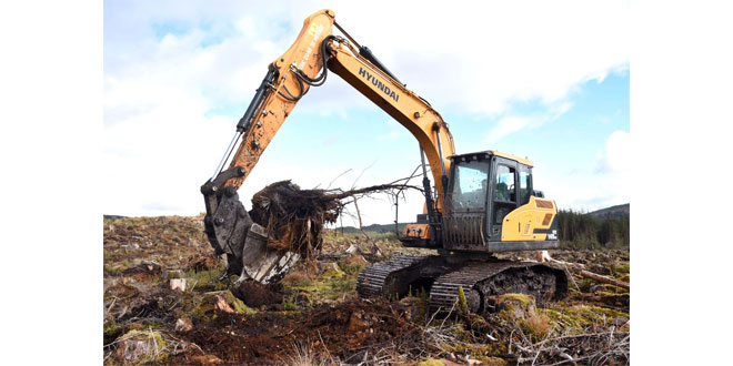 Carron Valley Plant chooses Hyundai High-Walkers for tough forestry tasks