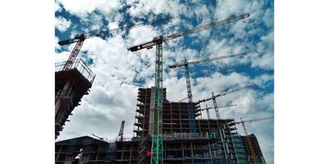 Wide variety of industries saw an increase in start-ups in 2020