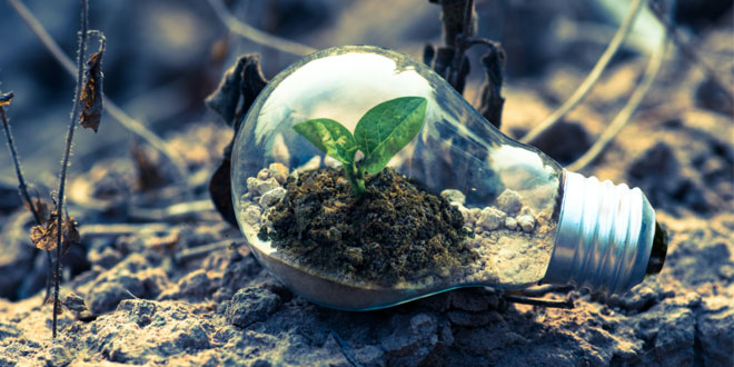 Circular Economy Post Pandemic
