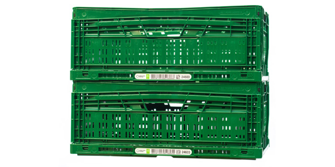 First Euro Pool System recycled folding trays go into circulation