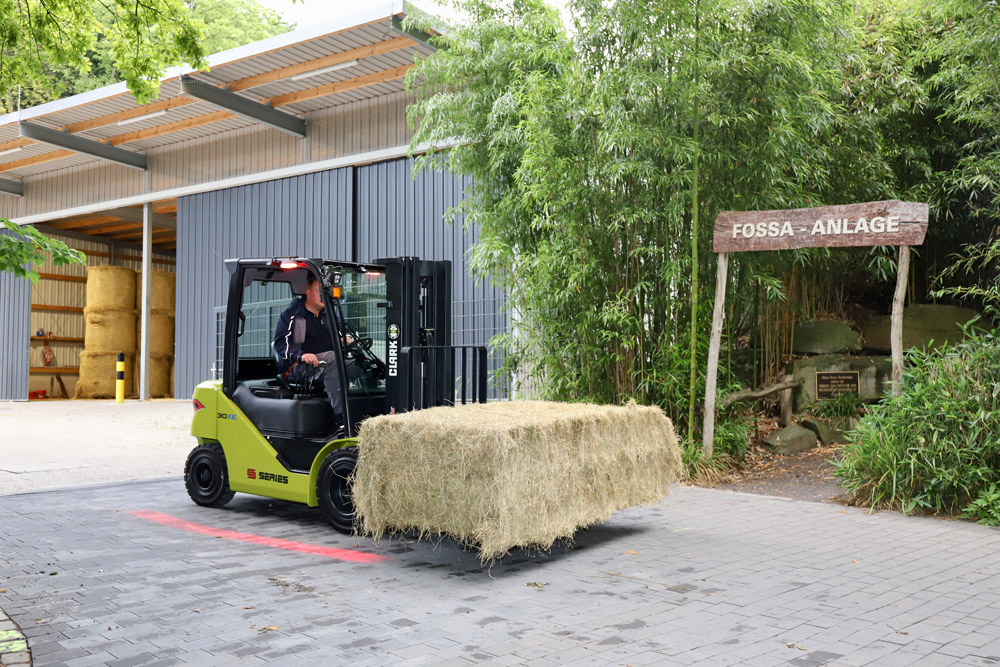 Clark forklifts have long been part of the zoo’s logistics operations